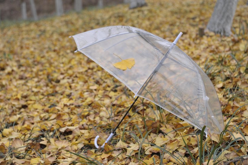 Осезаемо застудяване и валежи от дъжд от вторник