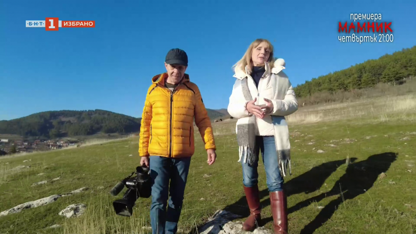 Три вълнуващи истории