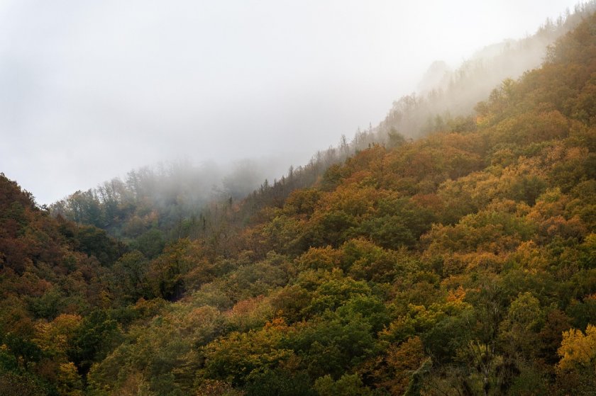 Ниска облачност и мъгла в съботната утрин