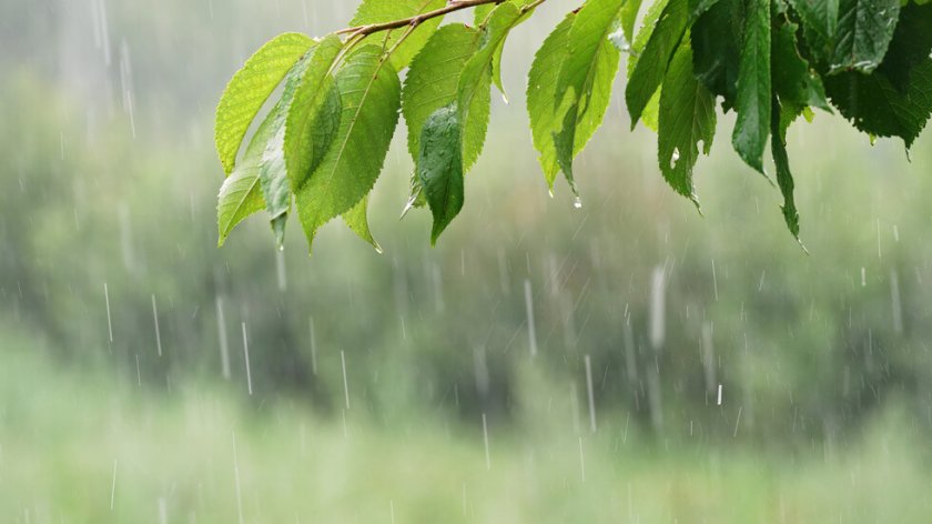 Валежи главно в планинските части в неделя