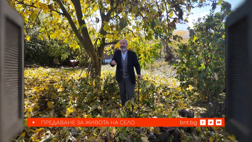 Село Кошарево - 11.01.2026