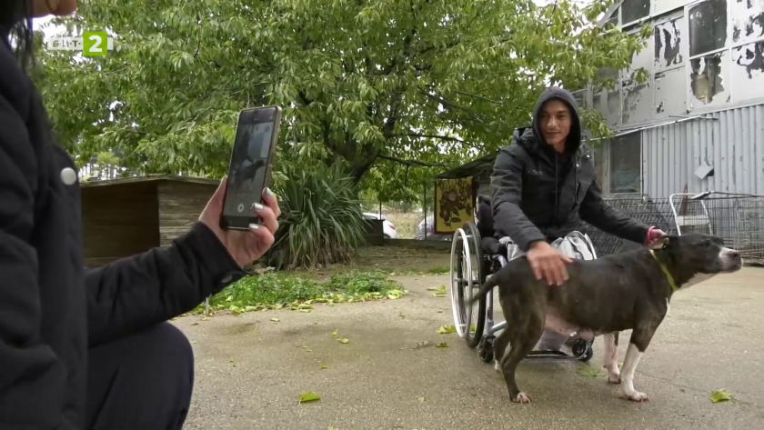 Историята на Пламен