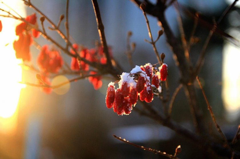 Слънчево на изток и превалявания на запад в петък