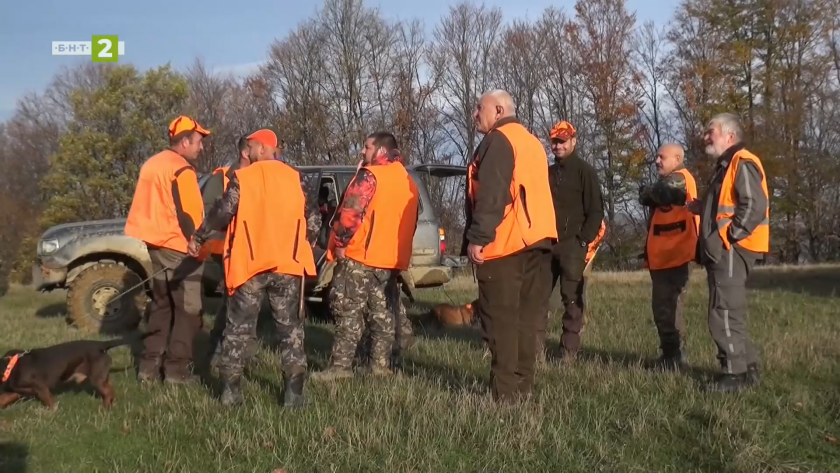 Ловни истории с диви прасета и мечки от Троянския балкан