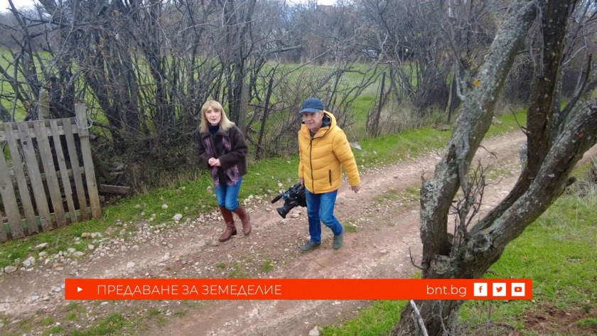 Как се произвеждат пчели майки - 13.12.2025