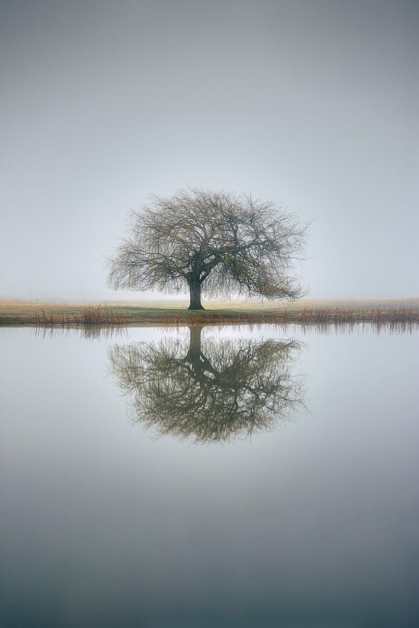 Мъгли и ниска слоеста облачност в много райони от страната