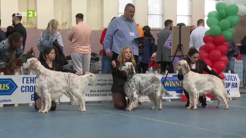 Срещи с гиганти край киноложките изложбени рингове