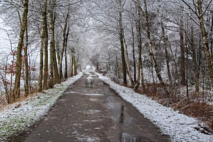 Облачно и ветровито с валежи от дъжд и сняг