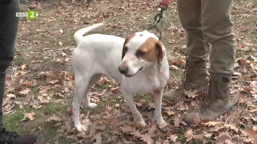 Ловните пътеки на 2025 година