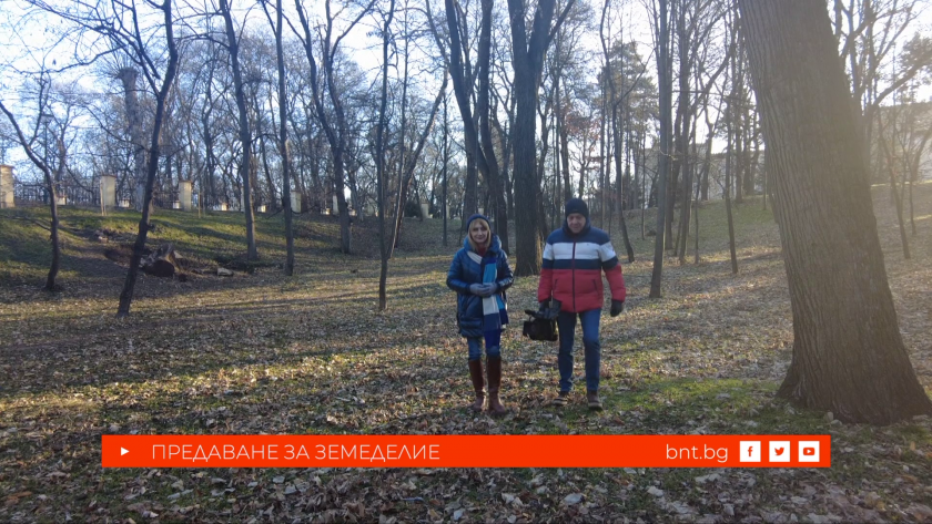 История за овце и края на илюзиите - 24.01.2026