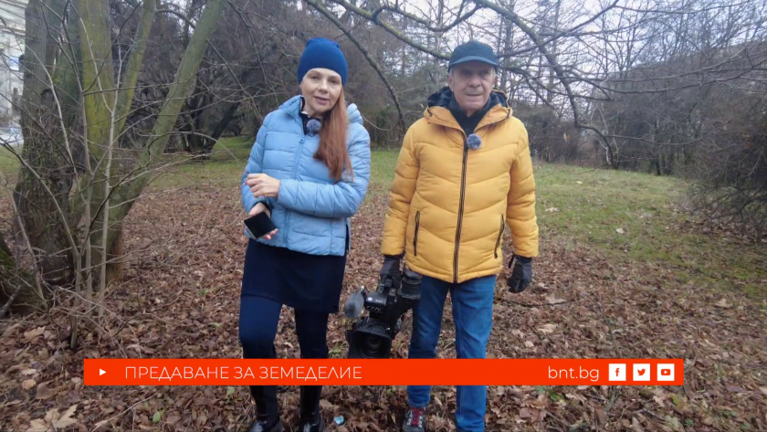 Да станеш фермер на шега - 31.01.2026