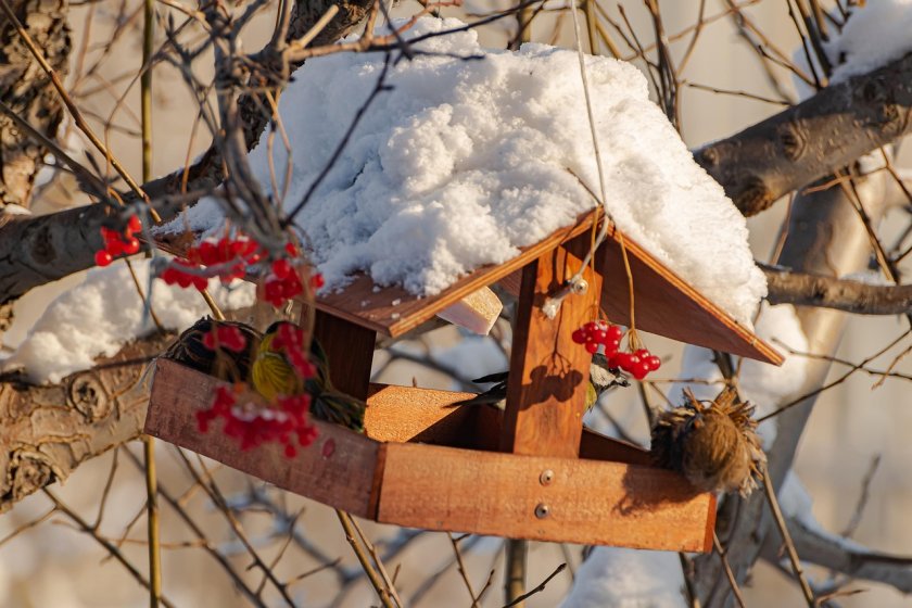 Сняг, дъжд и опасност от поледици в сряда