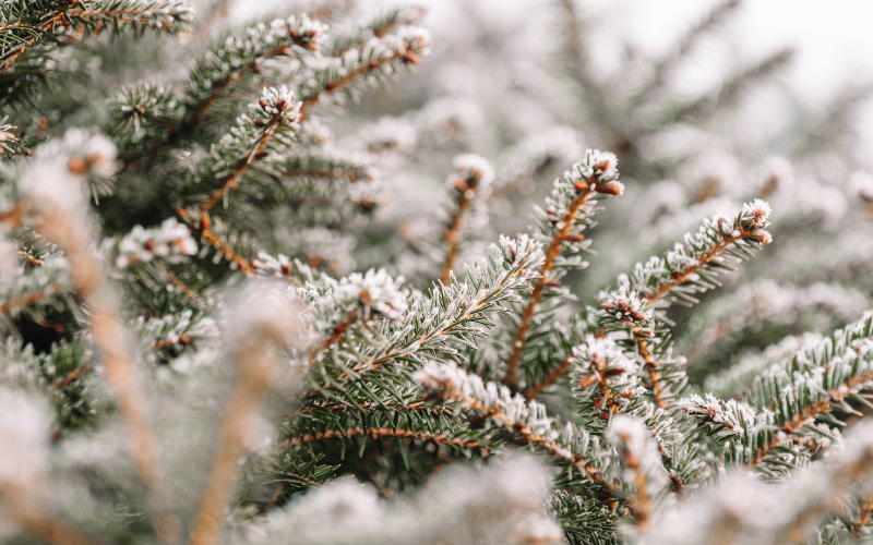 Валежите спират, максималните температури остават отрицателни