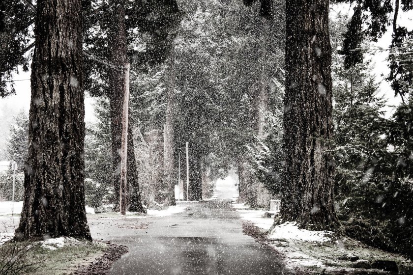 Облачно време, валежи в почти цялата страна