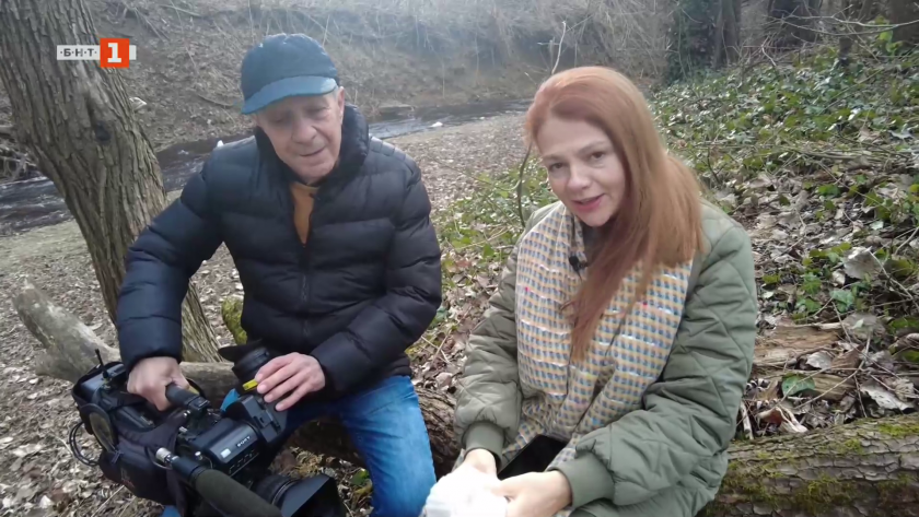 Вино, крави, овце и мечти