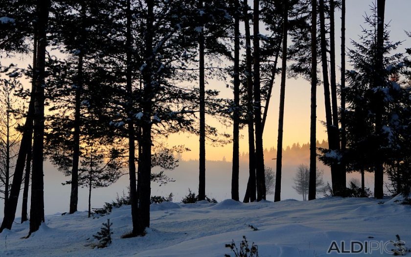 Валежи от дъжд и сняг, силен вятър и застудяване