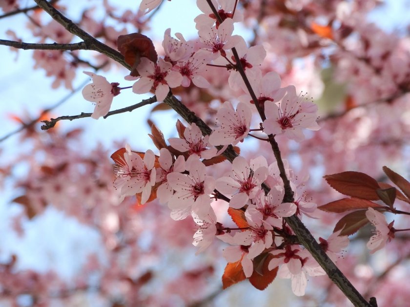 Затопляне в края на седмицата