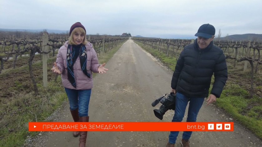 Три фермерски истории, чието начало отвежда поколение назад - 14.02.2026