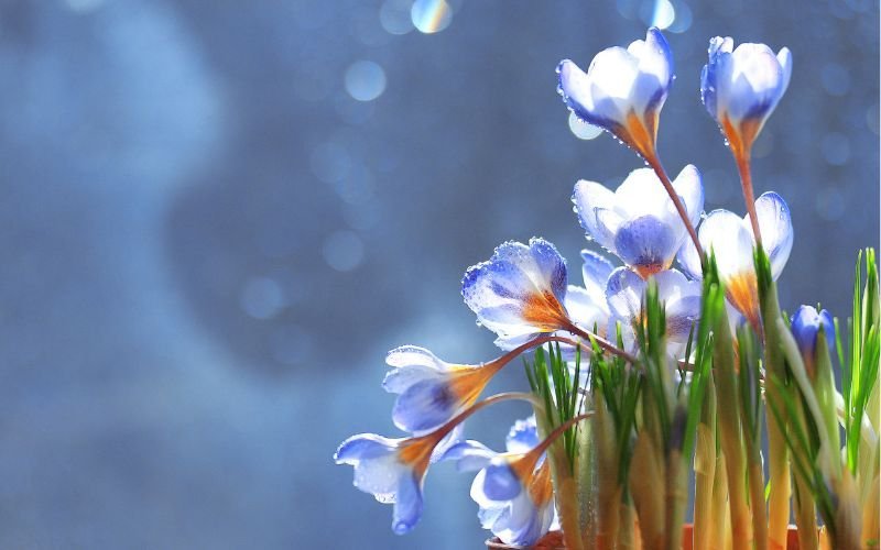 Очакват ни много слънчеви часове на Великден