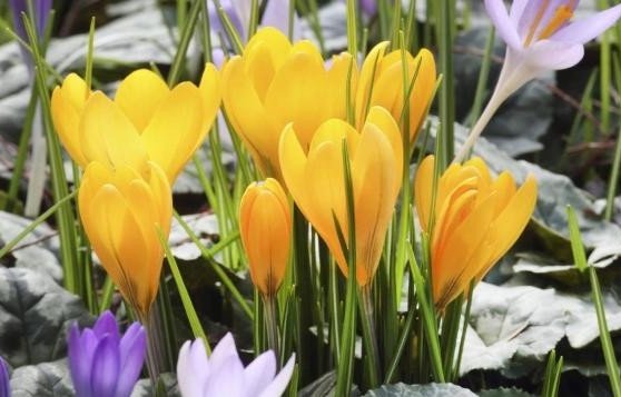 Слънчево в цялата страна