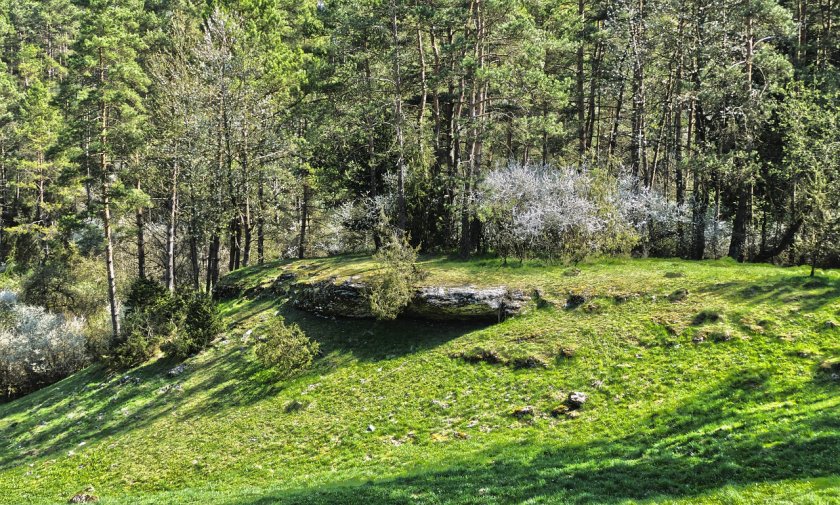 Слънчево в следобедните часове