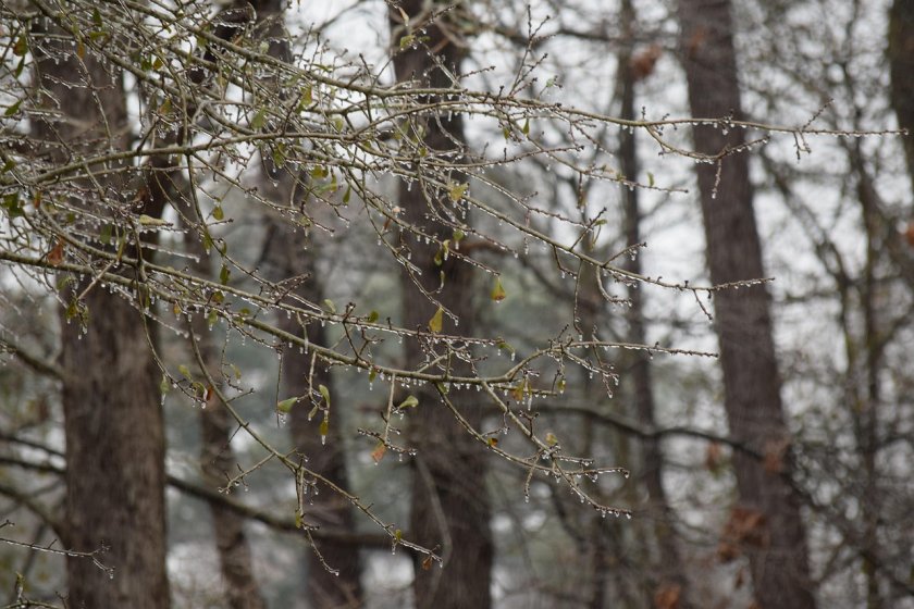 Застудяване и валежи от дъжд и сняг от понеделник