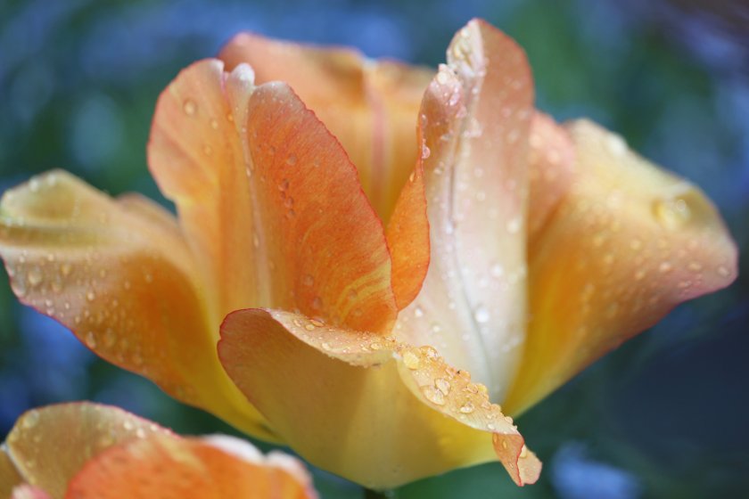 Дъждовно време днес и утре