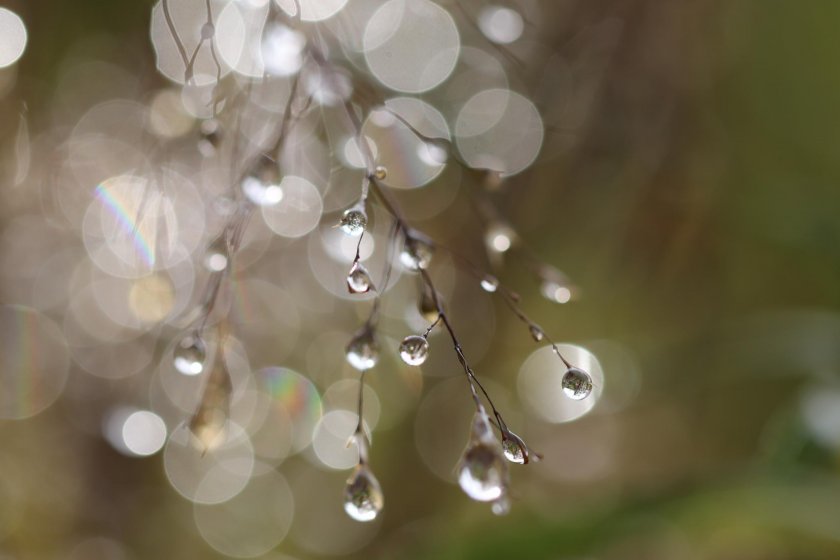 Облачно, дъждовно и студено време от петък