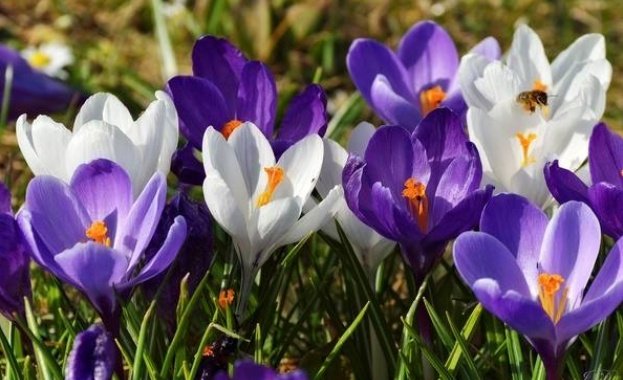 Слънчево и топло в близките дни