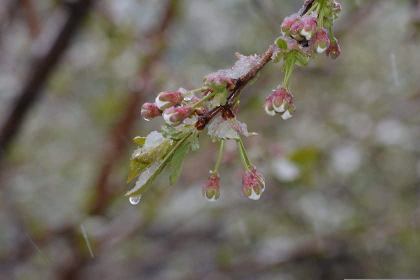 Дъжд на много места и максимални температури между 11&deg; и 16&deg; в събота