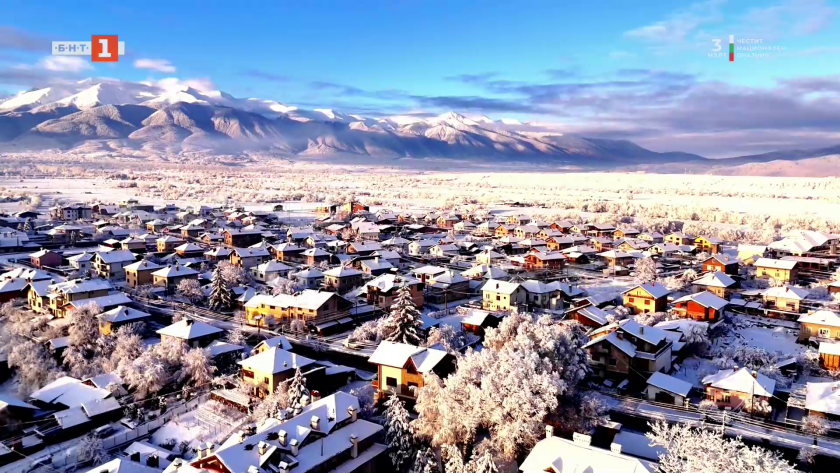 Безценна свобода