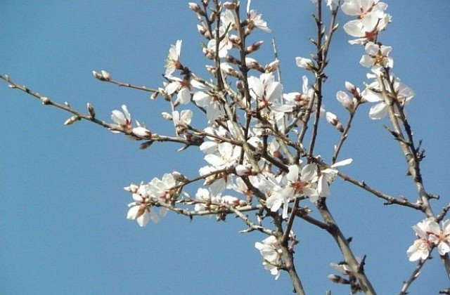 Опасно ветровито и в следобедните часове