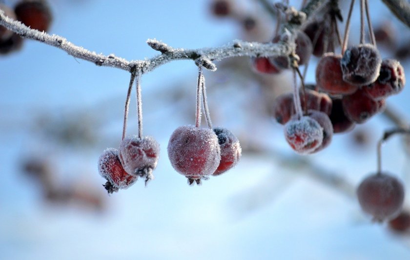 Застудяване и значителни валежи в началото на следващата седмица