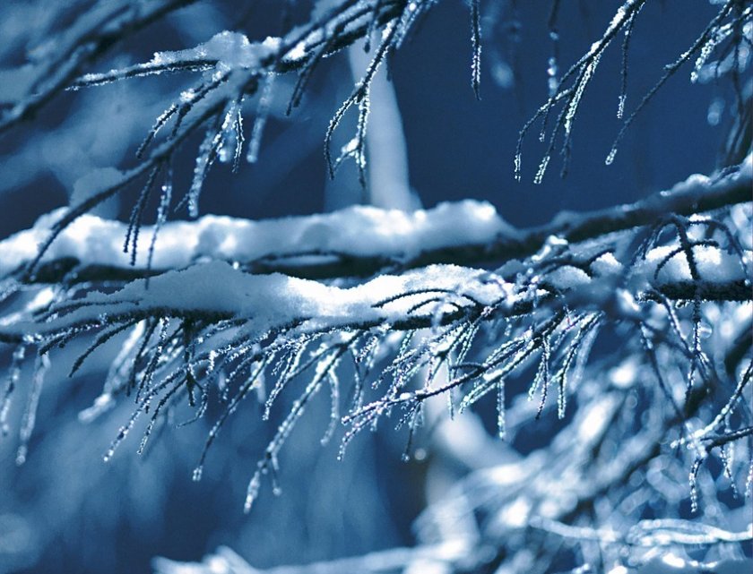 Валежи от дъжд и сняг и временно, но осезаемо застудяване от понеделник