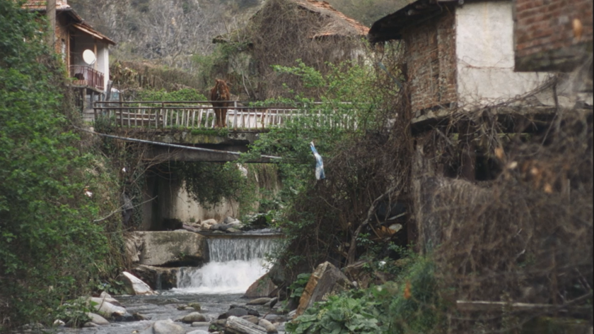 Елица Петкова и Веселка Кирякова за потайния свят на суеверията, разказани от животни във филма &bdquo;Тихи наблюдатели&ldquo; - 26.02.2026