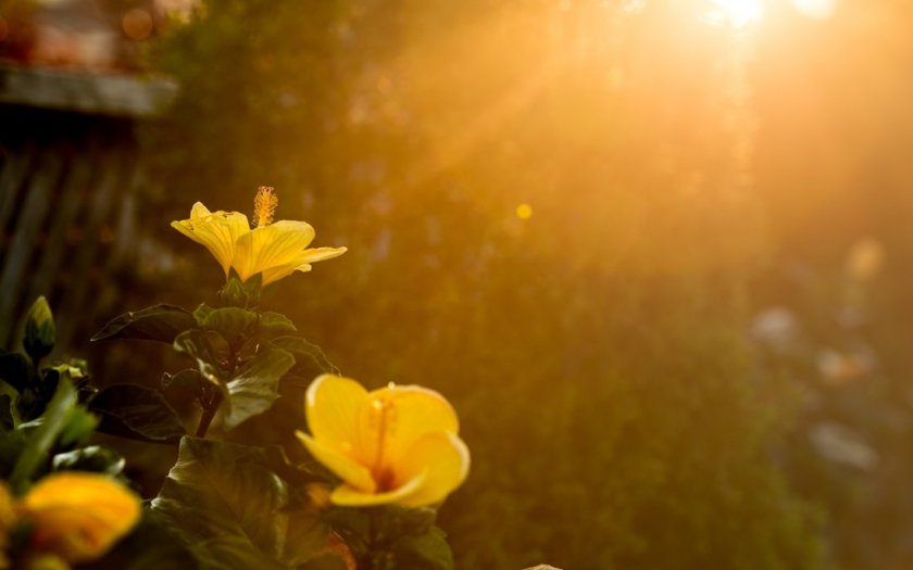 Топло и слънчево в четвъртък, застудяване и валежи от петък
