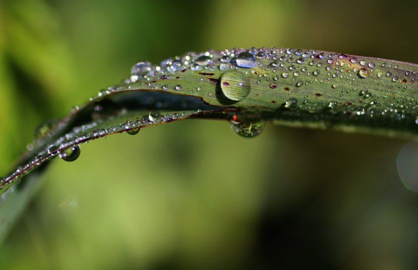 Валежи от дъжд и през почивните дни