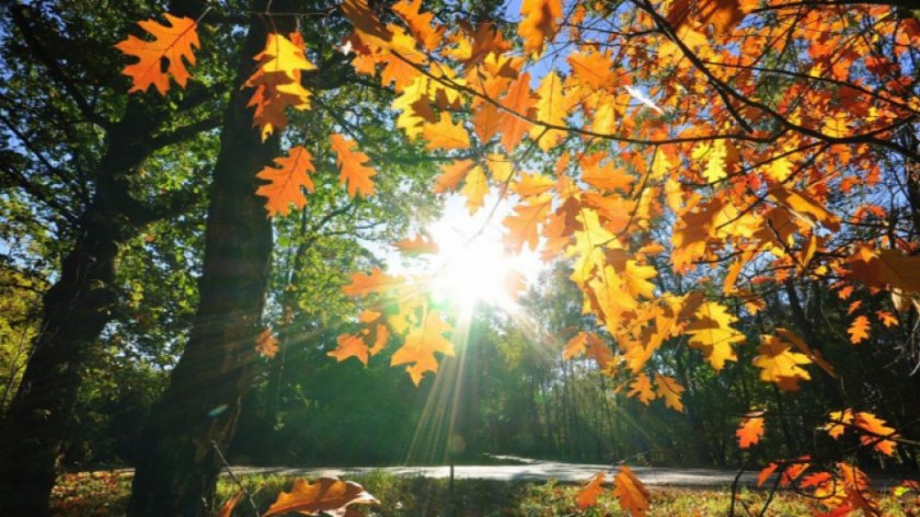 Очаква ни слънчева сряда