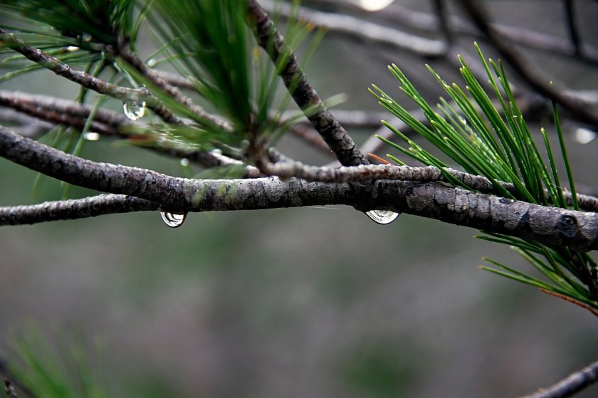 Валежи от дъжд в събота