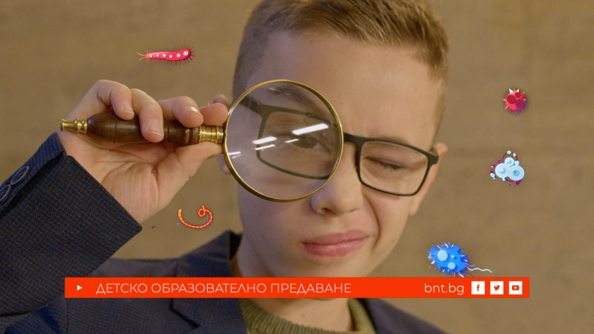 Какво са вирусите - 15.02.2026