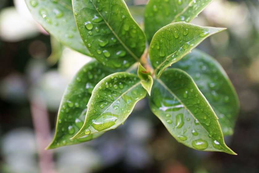 Облачно, дъждовно и студено време от петък