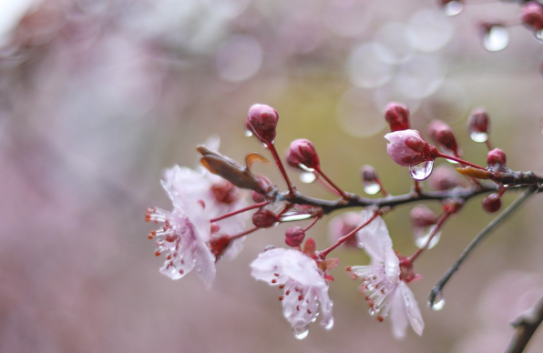 Предупредителен жълт код за валежи в цялата страна