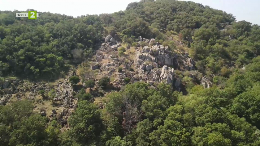 Лъвът на Вълчан