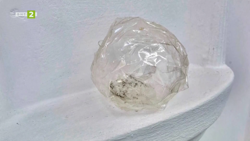 &bdquo;Снежна топка&ldquo; в галерия &bdquo;Сариева&ldquo;