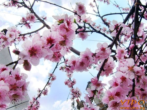 Слънчево и почти без валежи