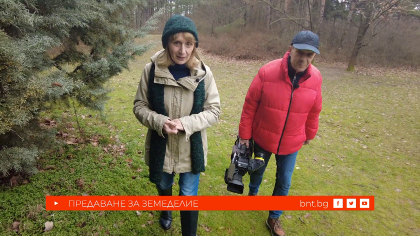 Ферма, в която робот дои кравите, а те слушат класическа музика, 21.02.2026