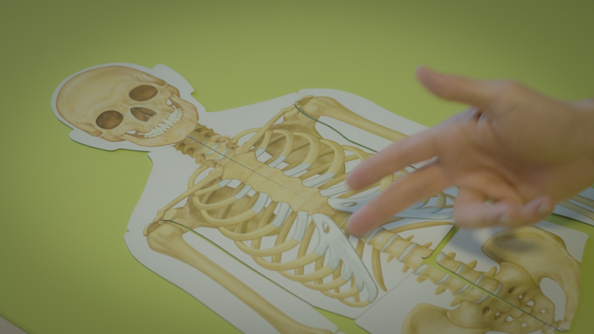 Човешкото тяло - 22.03.2026