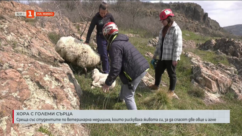 Среща със студентите по ветеринарна медицина, които спасиха бедстващите овце в Кърджалийско