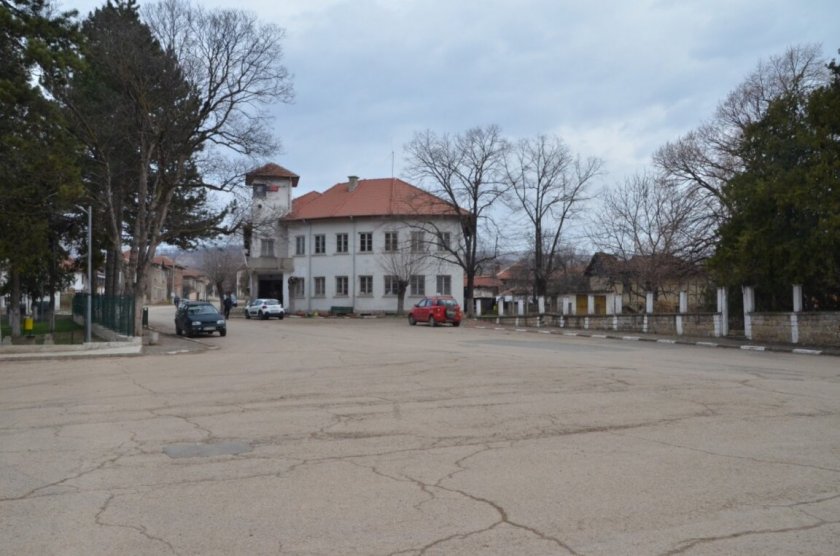 Кой прибра и къде закара захвърлен питбул в село Церовене?