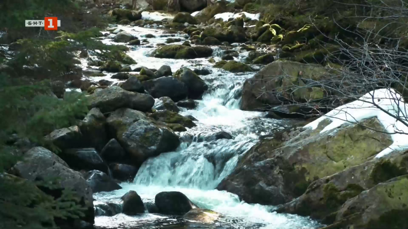 Първият детски пътеводител за Витоша - 05.04.2026